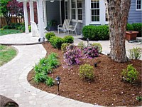 Design Services